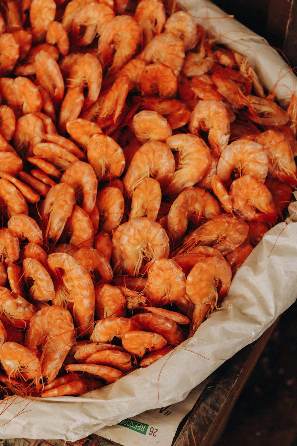 free-photo-of-display-of-shrimps
